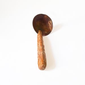 Coconut Shell Spoons with Coconut Wood Handle (06 nos.)